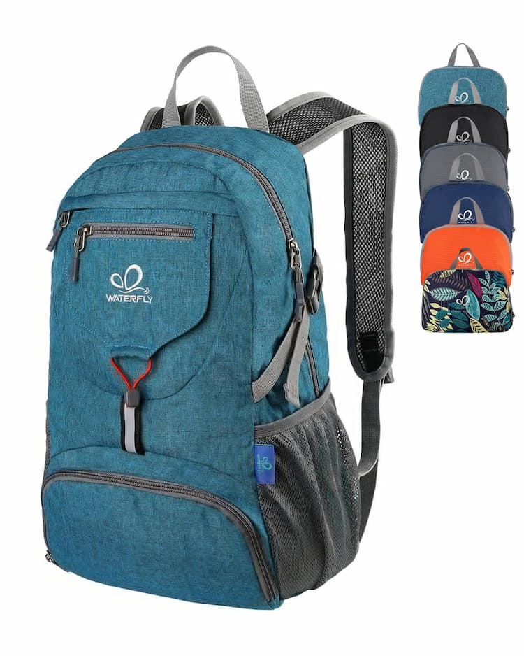 School Backpacks