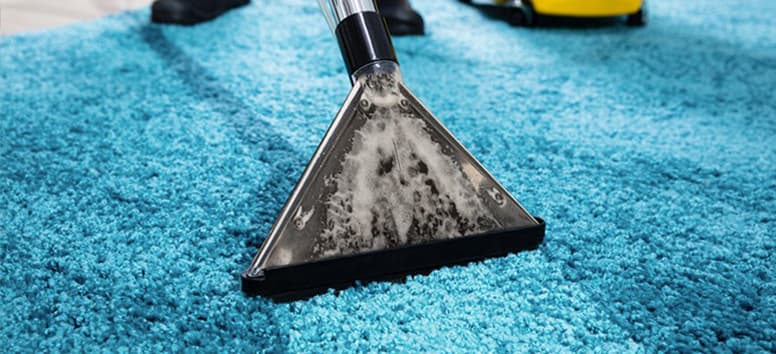 Best Carpet Cleaners Tips Revealed