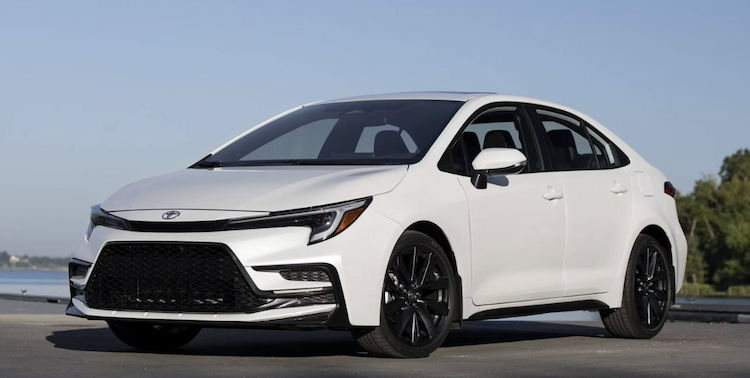 Car Rentals in Miami
