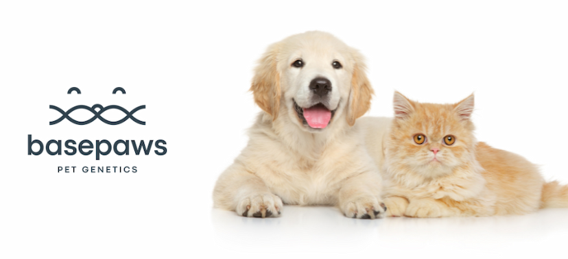  Discover Your Pet’s Story with Basepaws DNA Test