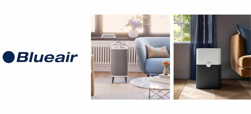 Best Air Purifiers Buying Guide: Top Blueair Purifiers and More!