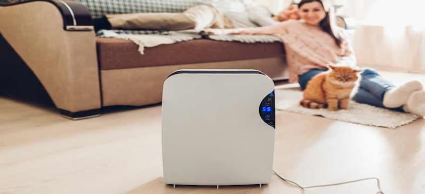 How Does A Dehumidifier Work
