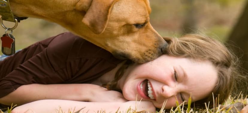 Best Deals for Your Furry Friend 