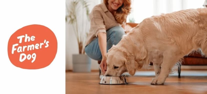 Is The Farmer’s Dog Worth It? Yes!