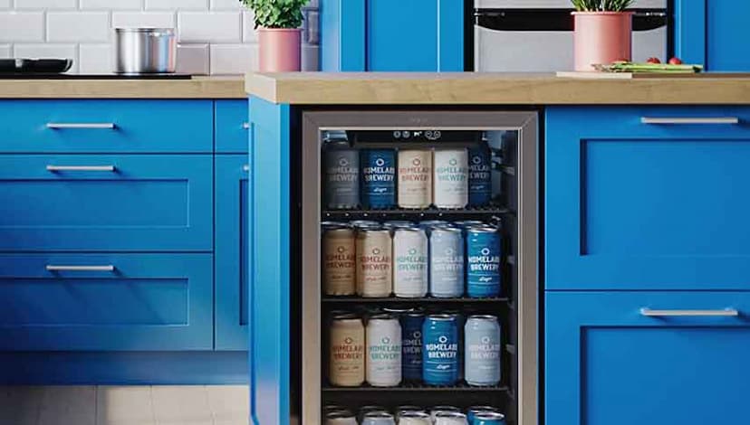 The hOmeLabs Beverage Refrigerator & Cooler Full Guide 