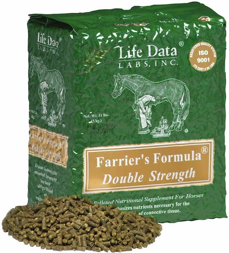Farrier Tools
