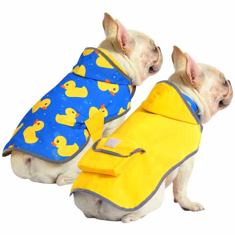 Dog Raincoats
