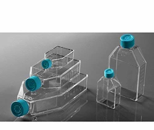 Lab Cell Culture Flasks