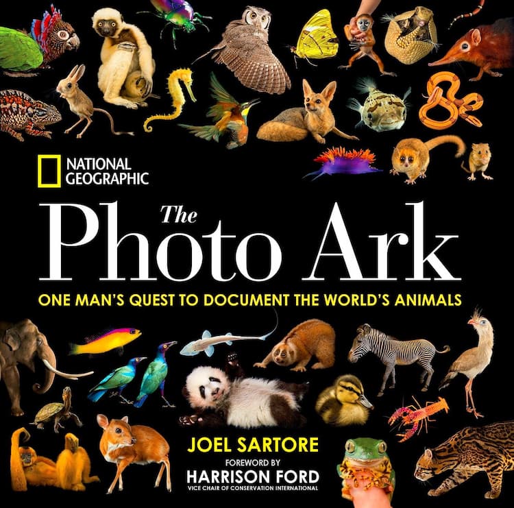 Art Encyclopedias