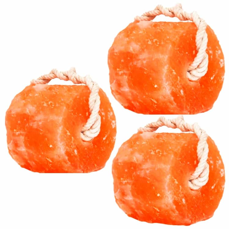 Horse Salt Licks