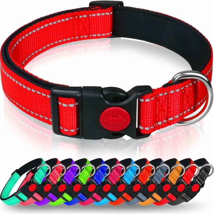 Basic Dog Collars