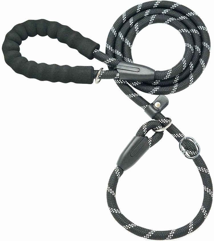 Standard Dog Leashes