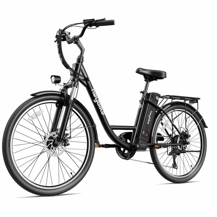 Adult Electric Bicycles