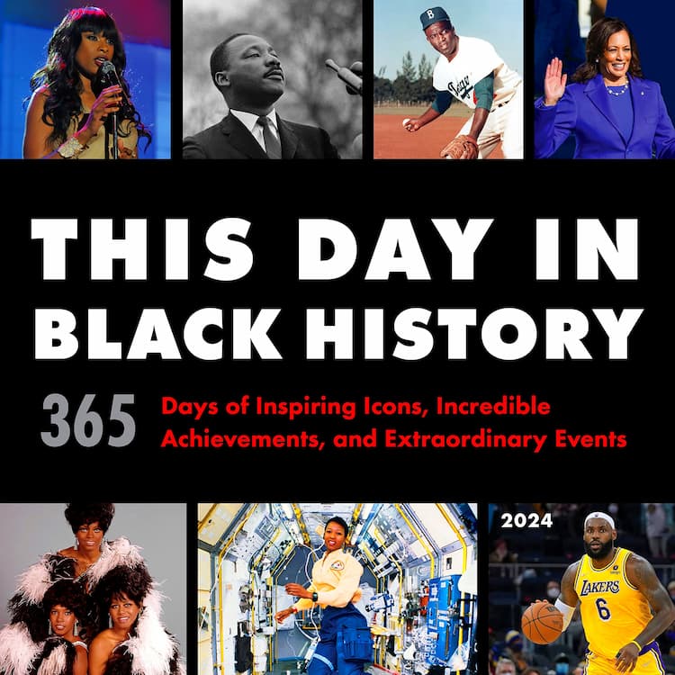 African American Demographic Studies (Books)