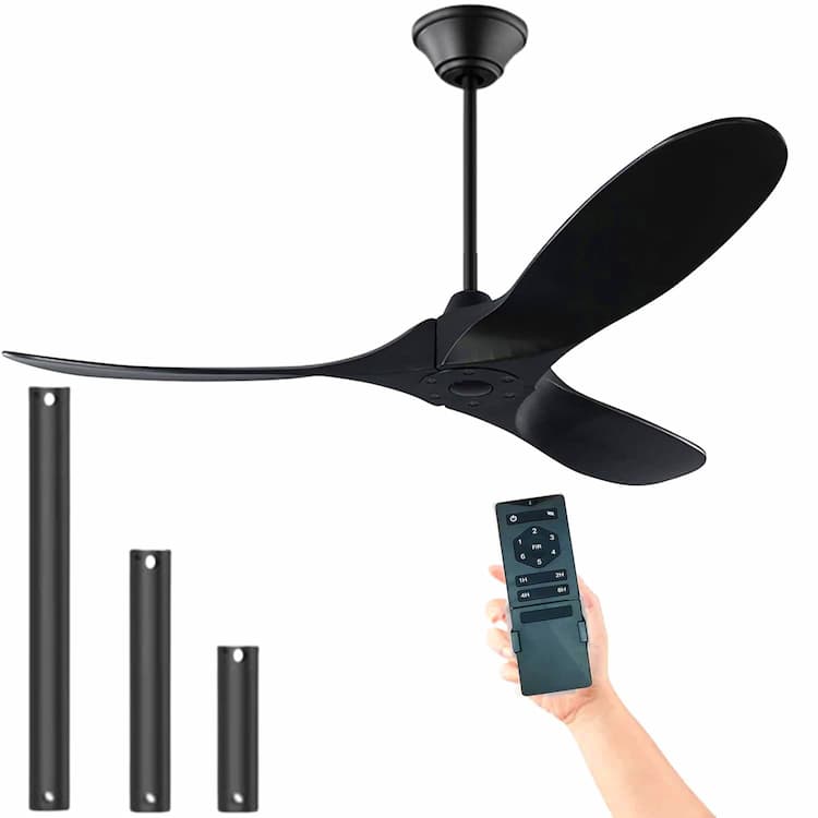 Ceiling Fans