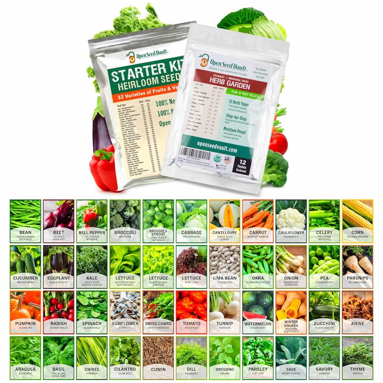 Herb Plants & Seeds