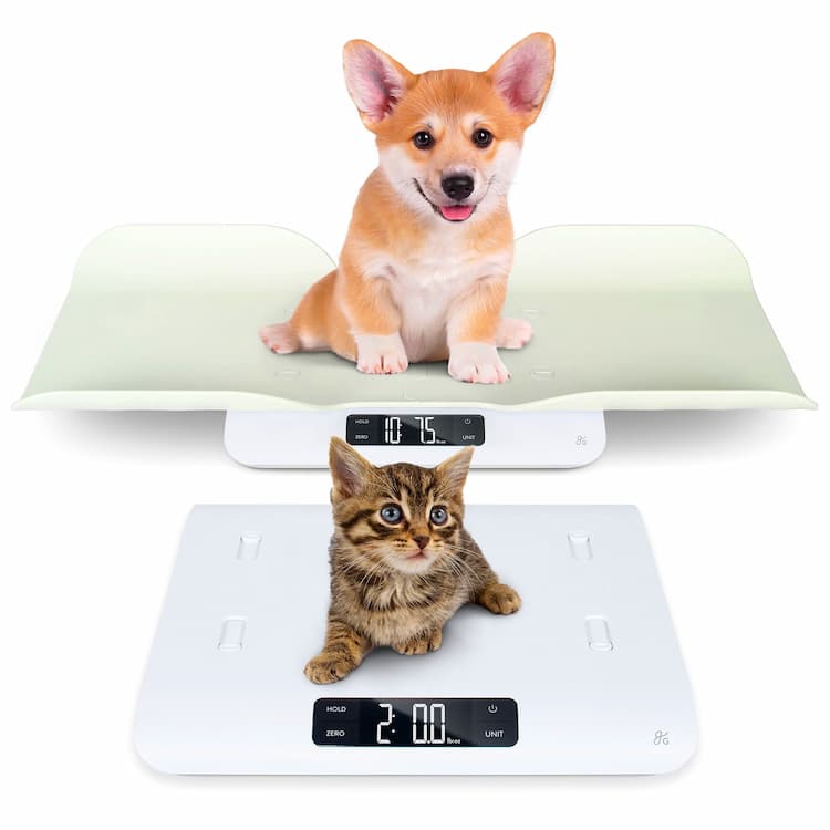 Baby Scale