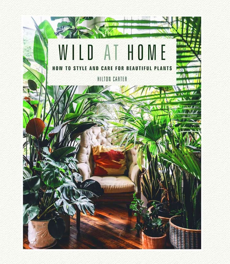 House Plant Gardening