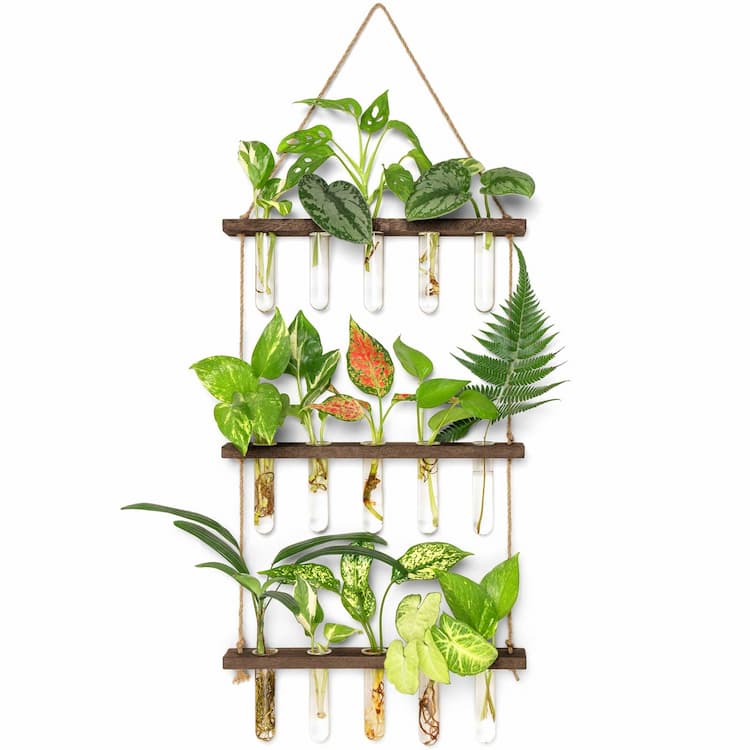 Planter Terrariums