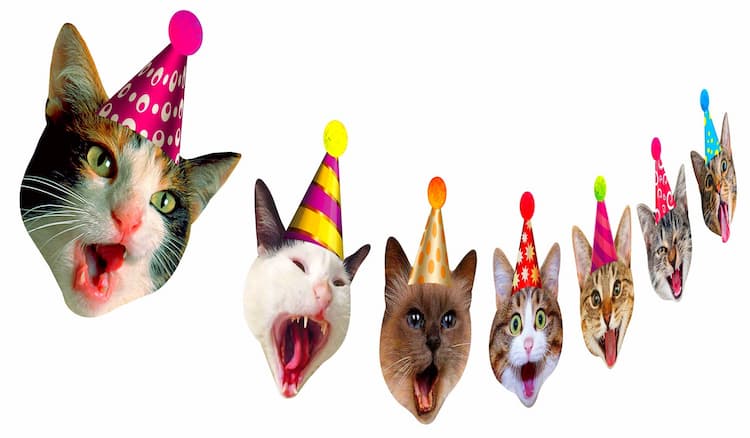 Kids' Pennants & Banners