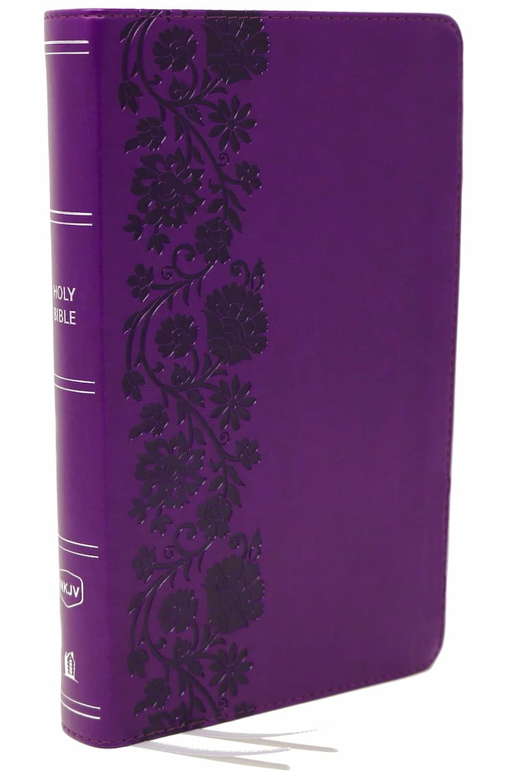 Christian Bibles (Books)