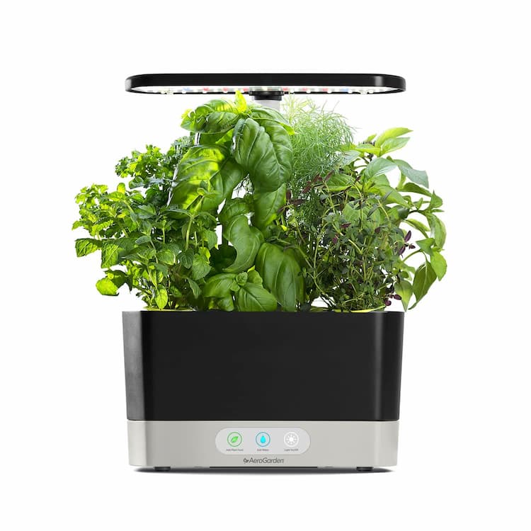 Plant Germination Kits