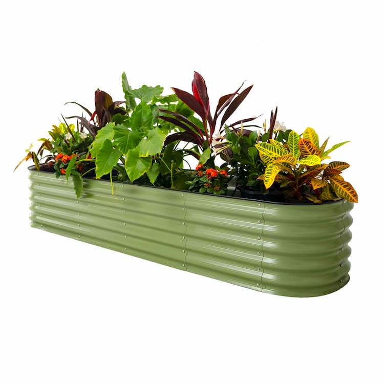 Planter Raised Beds