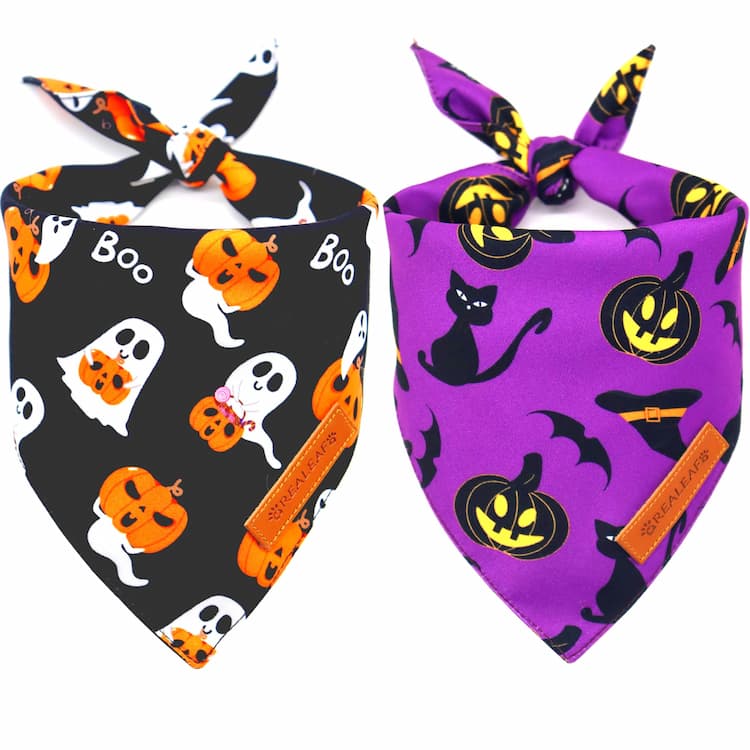 Sports Fan Pet Bandanas