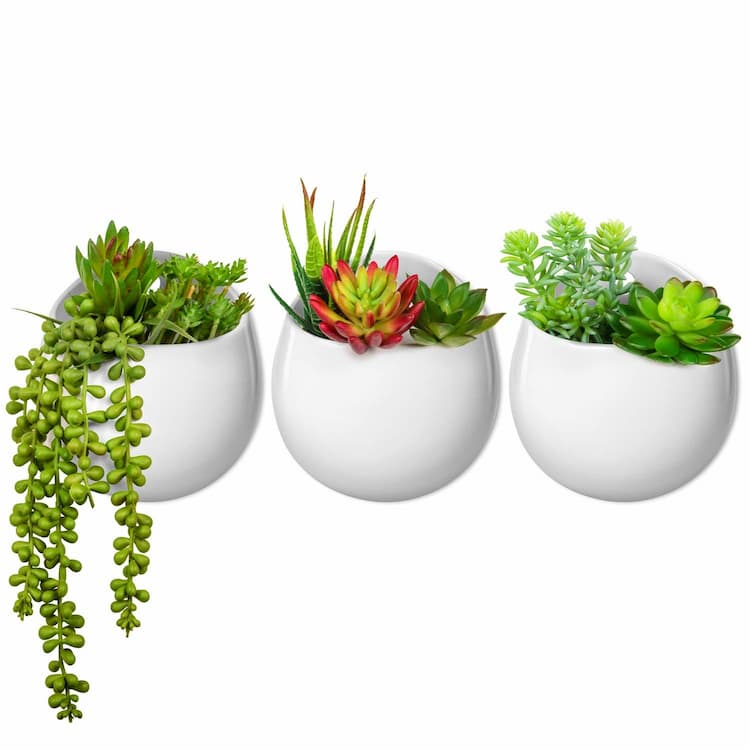 Vertical & Wall Planters