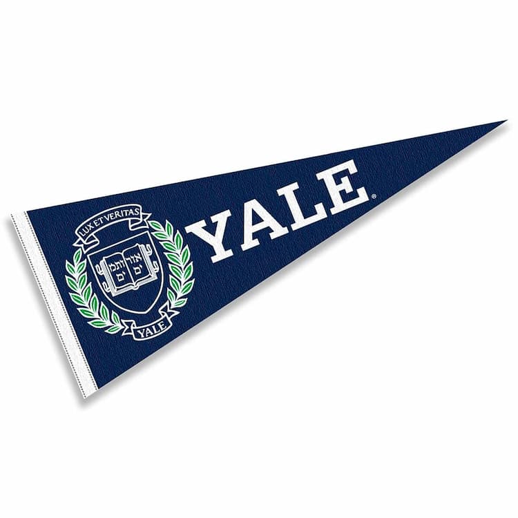 Sports Fan Pennants