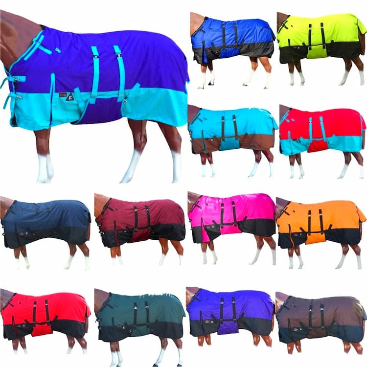 Horse Care Blankets