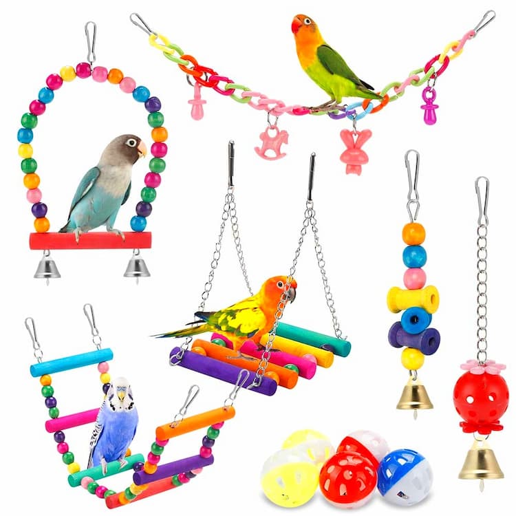 Bird Swings