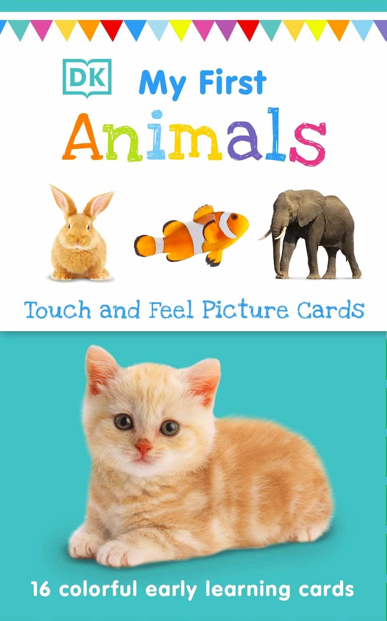 Children's Card Games Books