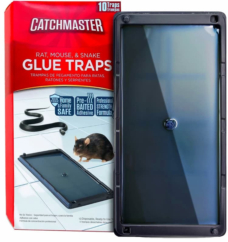 Pest Control Traps