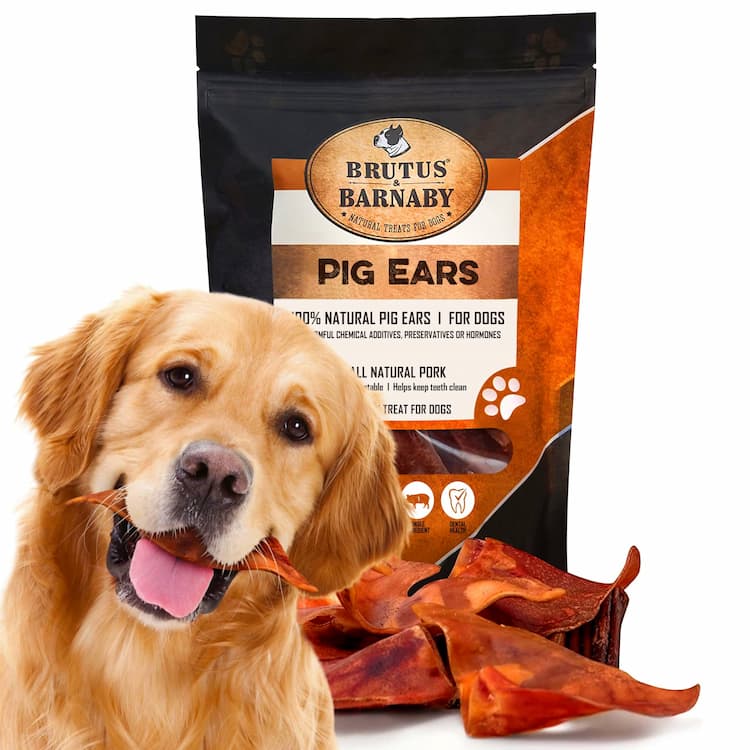 Pig Ear Dog Treats