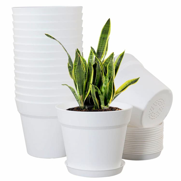 Garden Pots