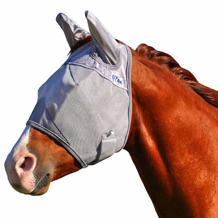 Horse Fly Control Masks