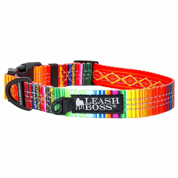 Stylish, Reflective Dog Gear for All Sizes.