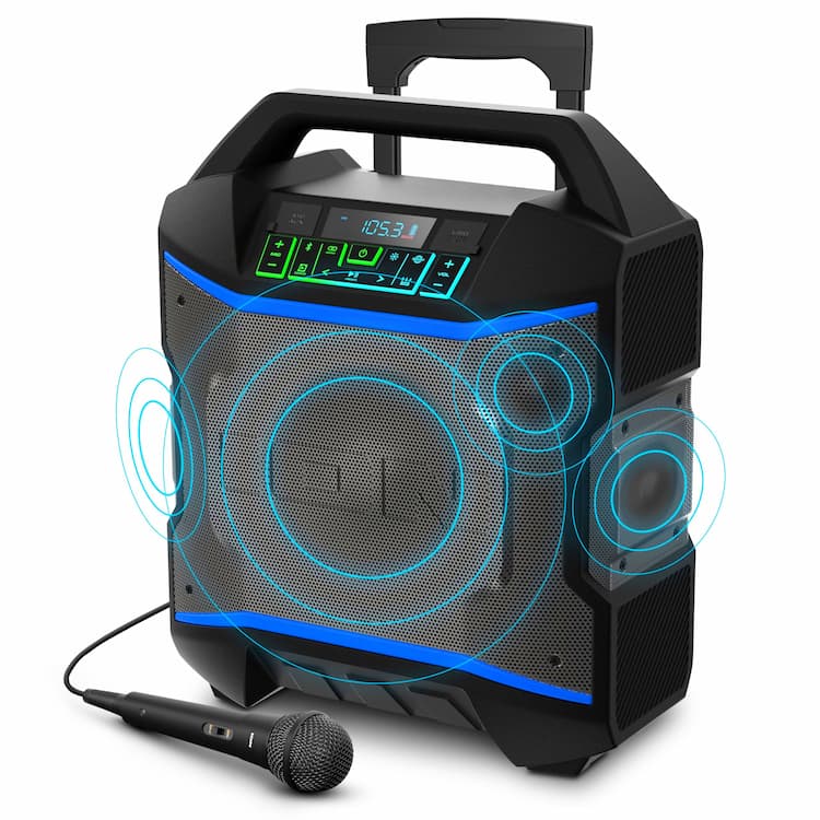 Outdoor Speaker