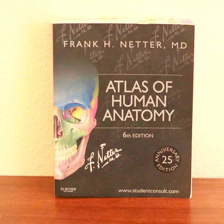 Medical Anatomy