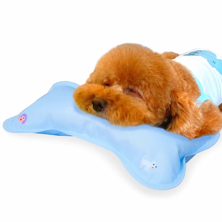 Dog Bed Pillows