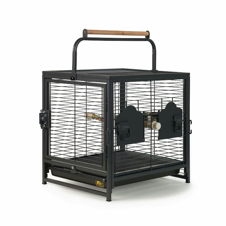 Bird Carriers