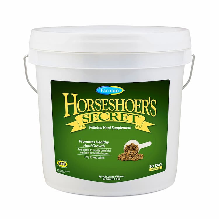 Horse Care Hoof Care