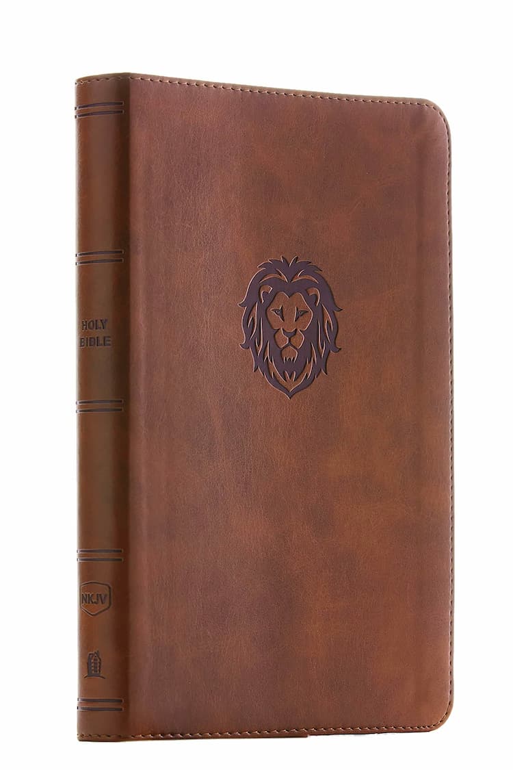Christian Bibles (Books)