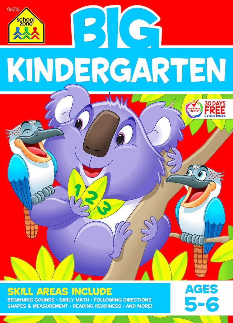 Children's School Issues