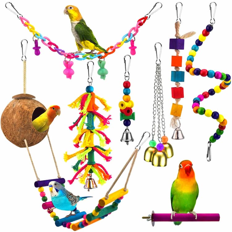 Bird Ladders