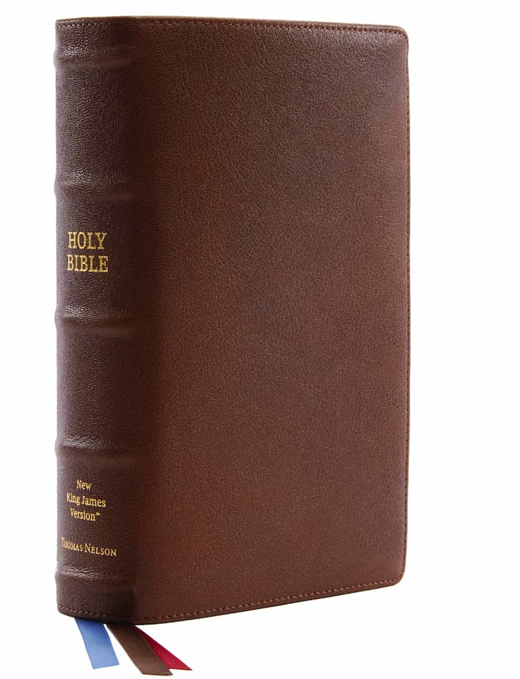 Christian Bibles (Books)