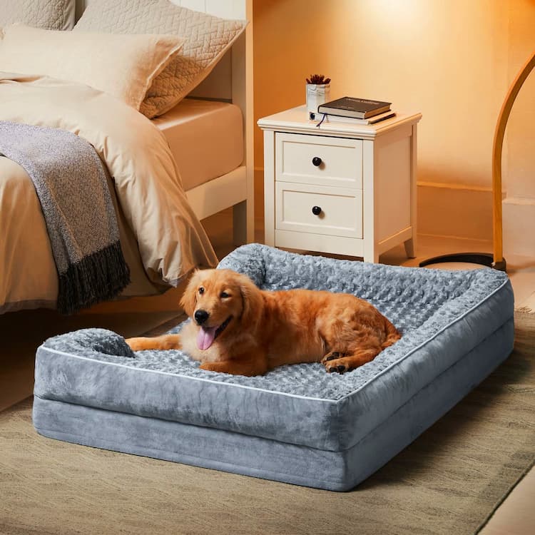 Dog Sofas & Chairs