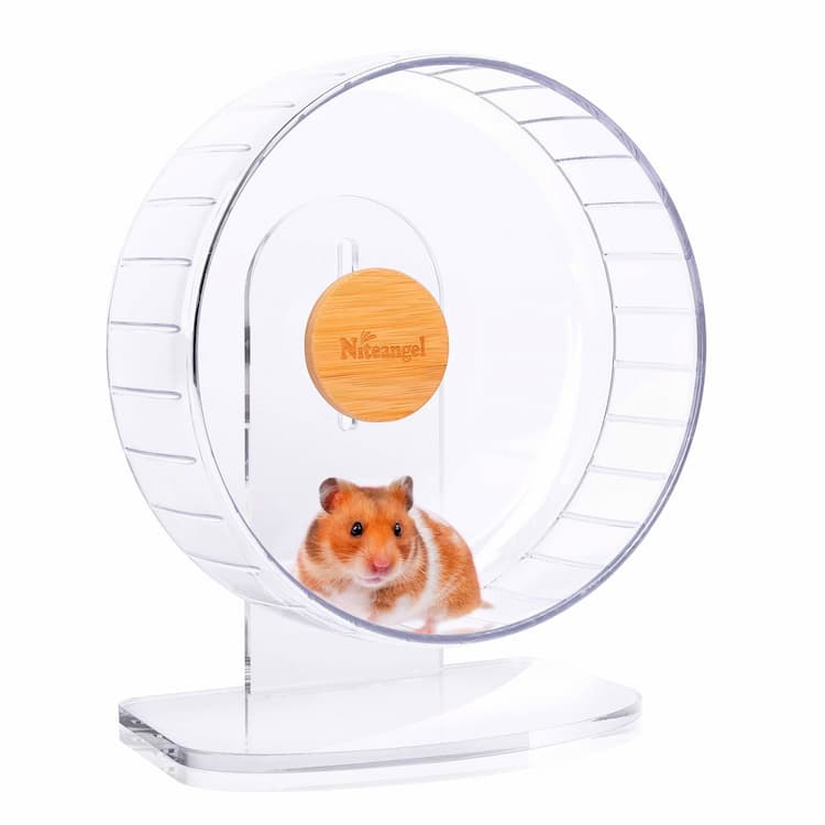 Small Animal Exercise Wheels