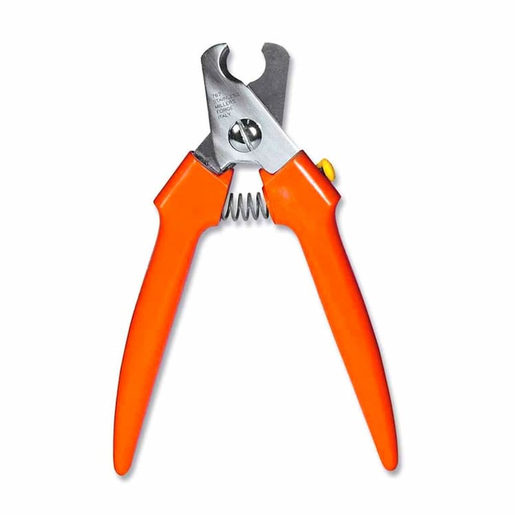 Dog Claw Care